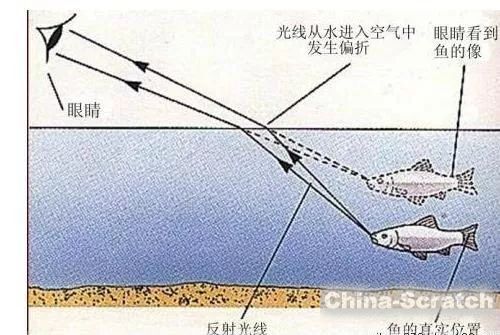 upload/article/images/2020-11-16/85476bfac531d5800d55d6bf1ee6eb1d.jpg